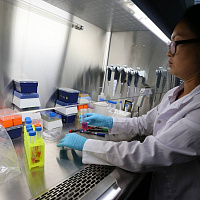 В РФ начали клинические испытания генного препарата от болезни Дюшенна