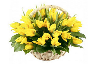 Сегодня в Отделении стоматологии ФМБЦ им. А.И.Бурназяна, как никогда, море красивых улыбок. В преддверии Международного женского дня 8 марта сотрудники отделения вручают тюльпаны всем пациентам прекрасного пола