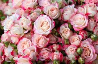 Коллектив ФМБЦ им. А.И. Бурназяна ФМБА России от всего сердца поздравляет женщин со светлым весенним праздником –Международным женским днём!