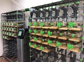 Новый виварий введен в эксплуатацию на территории "Наука".