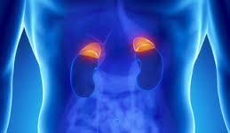 Мастер-класс с международным участием по теме "Рак мочевого пузыря: на пути к новым стандартам диагностики и лечения"