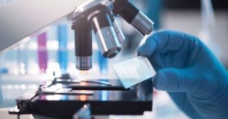 Сотрудники ФМБЦ им. А.И. Бурназяна ФМБА России опубликовали первый российский набор данных для обучения нейросетей диагностике опухолей молочной железы