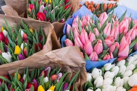 Поздравляем с Международным женским днём!