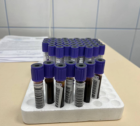 Единороссы северо-запада Москвы приняли участие в донорской акции #ДавайВступай