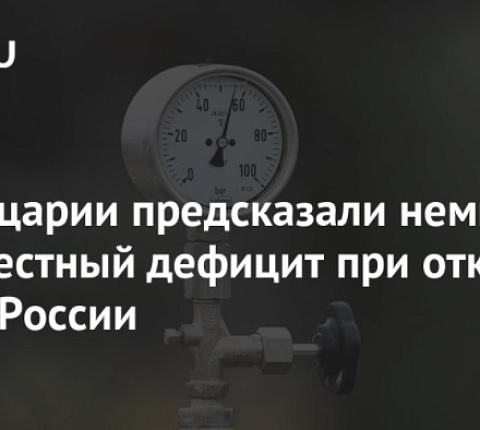 В Швейцарии предсказали немцам повсеместный дефицит при отказе от газа из России