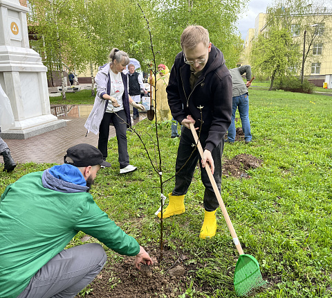 Сотрудники Центра присоединились к патриотической акции "Сады Победы"