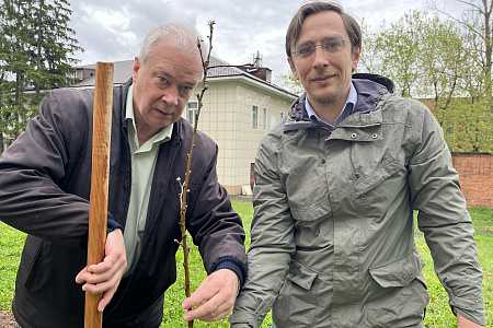 Сотрудники Центра присоединились к патриотической акции "Сады Победы"