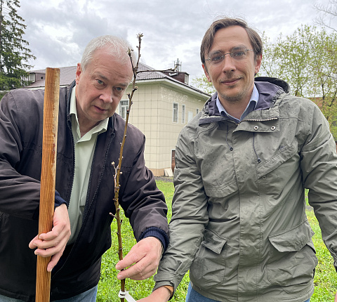 Сотрудники Центра присоединились к патриотической акции "Сады Победы"