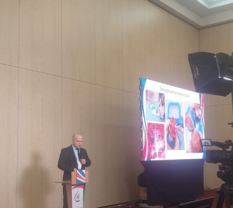 Сотрудники Центра спортивной травматологии и реабилитации выступили на XII Всероссийском съезде травматологов-ортопедов