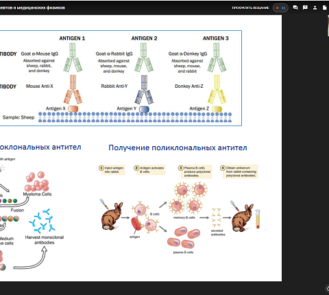 На базе ФГБУ ГНЦ ФМБЦ им.А.И. Бурназяна прошел учебный курс МАГАТЭ по радиобиологии