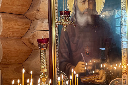 День памяти Святителя Луки (Войно-Ясенецкого)