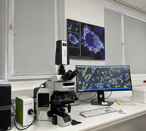 Генеральный директор ГНЦ ФМБЦ им. А.И Бурназяна ФМБА России А.С. Самойлов принял участие в торжественном открытии научно-образовательного ресурсного центра в РУДН