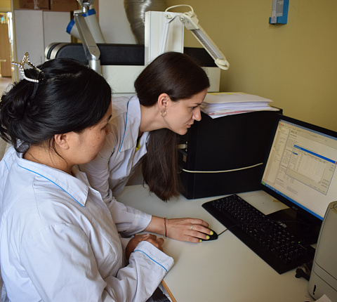 Обмен опытом с Институтом радиационной безопасности и экологии Казахстана