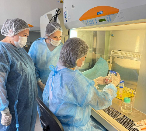 Ученые-биотехнологи из Республики Казахстан прошли обучение по разработке инновационных клеточных продуктов в ГНЦ ФМБЦ им.А.И. Бурназяна ФМБА России