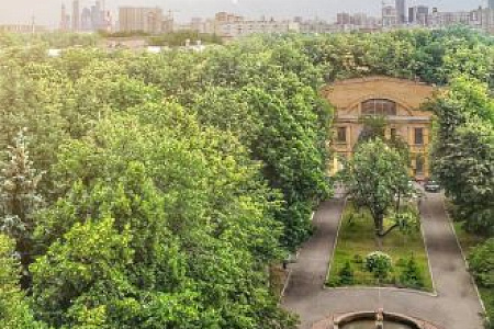 Каков порядок госпитализации?