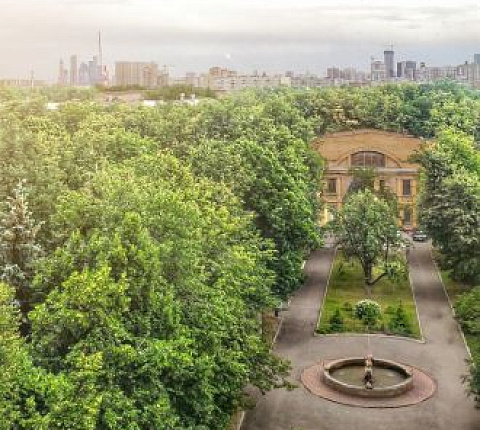 Каков порядок госпитализации?