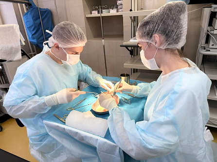 В ГНЦ ФМБЦ им.А.И.Бурназяна ФМБА России успешно функционирует криобанк донорских сосудистых аллографтов 