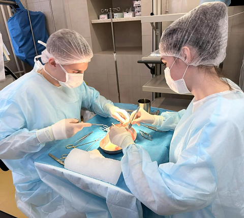 В ГНЦ ФМБЦ им.А.И.Бурназяна ФМБА России успешно функционирует криобанк донорских сосудистых аллографтов 