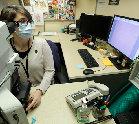 Химики создали нанометки для диагностики и лечения рака