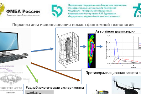 Ученые ФМБЦ им.А.И. Бурназяна ФМБА России завершили разработку инновационного продукта для решения задач радиационной медицины