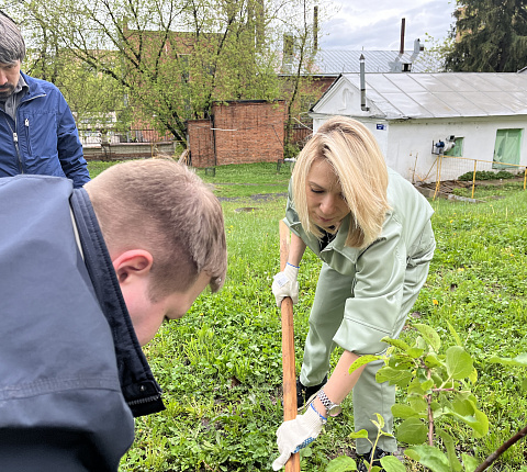 Сотрудники Центра присоединились к патриотической акции "Сады Победы"